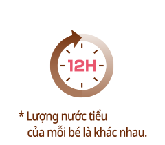 L&otilde;i b&ocirc;ng cao cấp