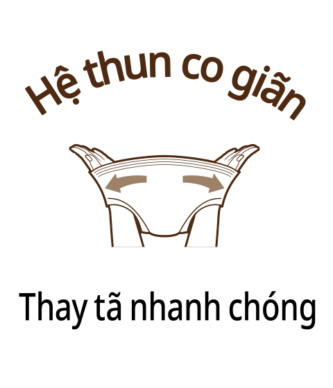 Hệ thun co gi&atilde;n